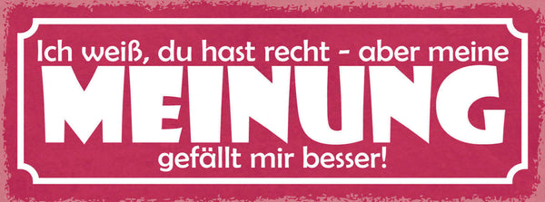 Schild Ich Weiß Du Hast Recht Aber Meine Meinung Gefällt Mir Besser 27x10