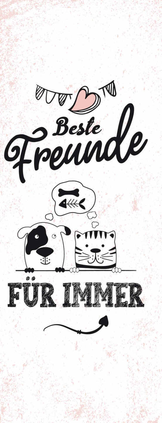 Schild Beste Freunde Für Immer Freundschaft Katze Hund Tier 27x10 Blech od.Holz