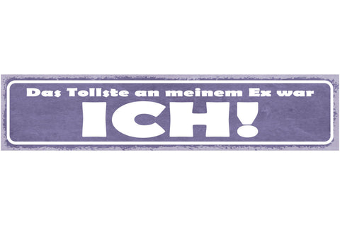 Schild Das Tollste An Meinem Ex War Ich Ehe Beziehung 46 x 10 Blech od. Holz