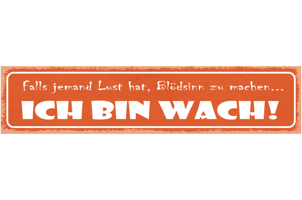 Schild Falls Jemand Lust Hat Blödsinn Zu Machen Ich Bin Wach 46 x 10
