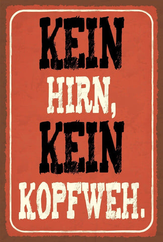 Schild Kein Hirn Kopf Weh Schmerzen Dumm 12x18 / 20x30 / 30x40 Blech od. Holz