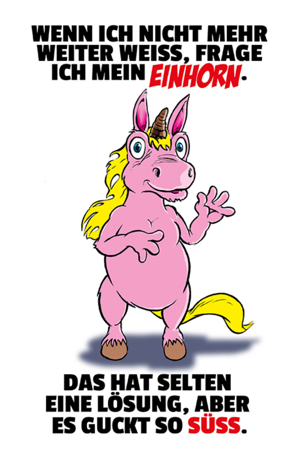 Schild Spruch Wenn ich nicht mehr weiter weiß frage ich mein Einhorn Süß JW