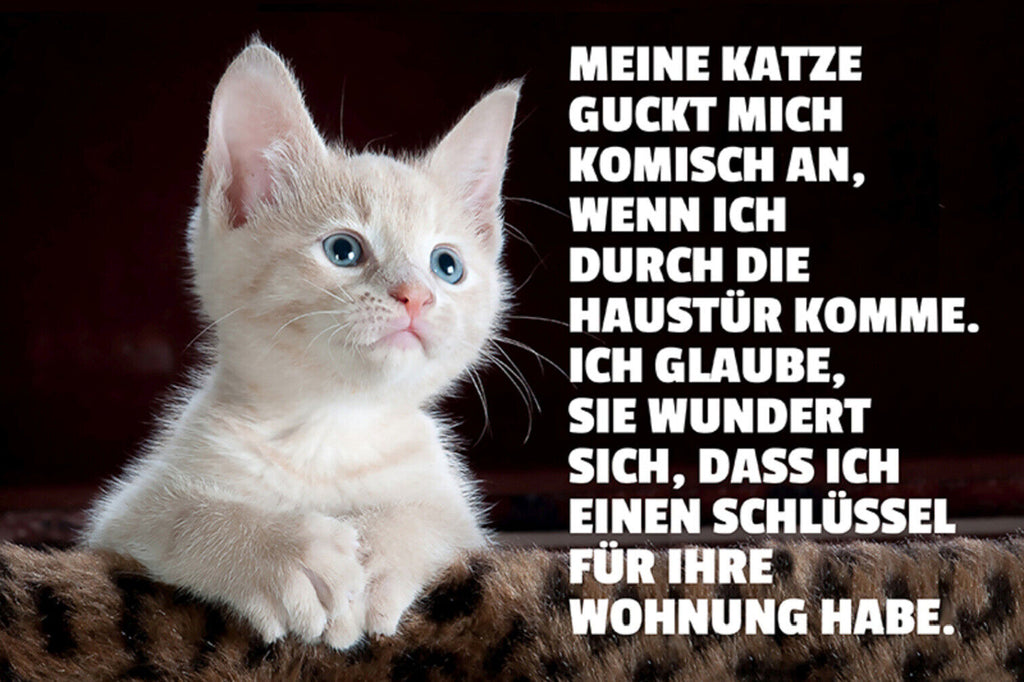Schild Spruch Meine Katze guckt mich komisch an wenn ich durch die Haustür JW