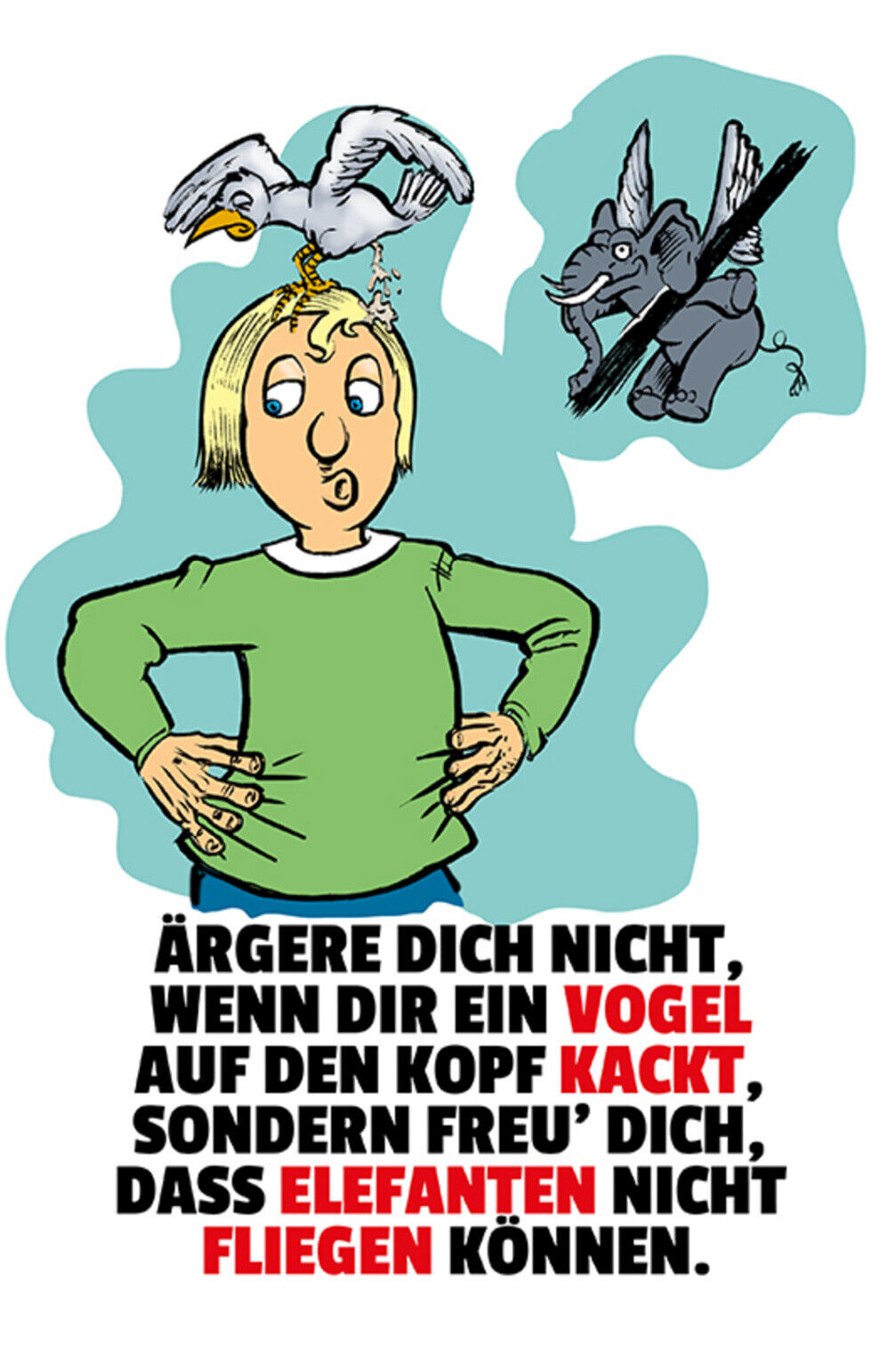Schild Spruch Ärger dich nicht wenn dir ein Vogel auf Kopf kackt Elefanten JW