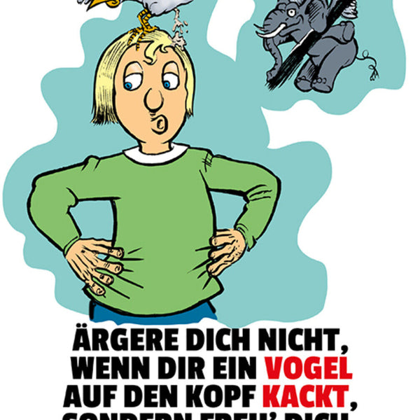 Schild Spruch Ärger dich nicht wenn dir ein Vogel auf Kopf kackt Elefanten JW