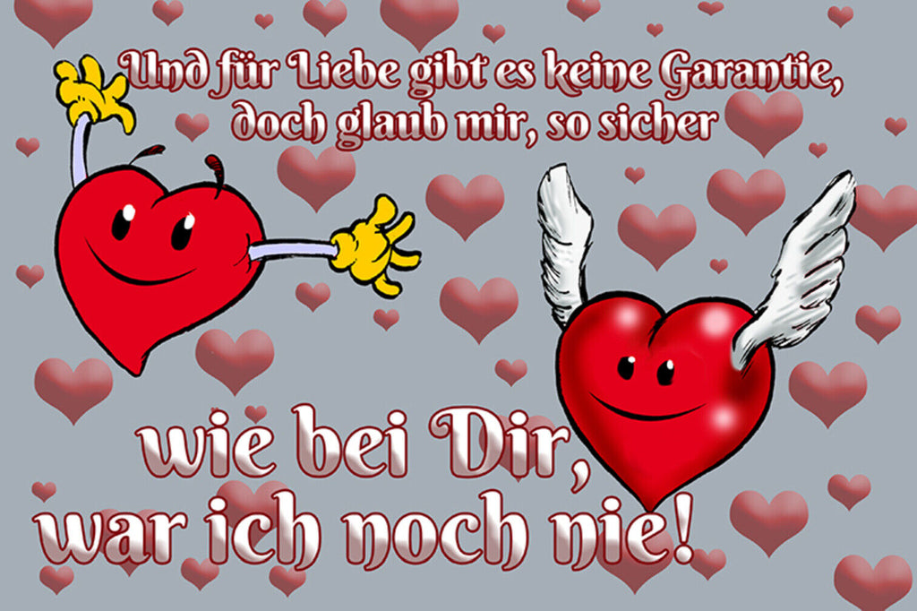 Schild Spruch Für die Liebe gibt es keine Garantie so sicher war ich nie JW