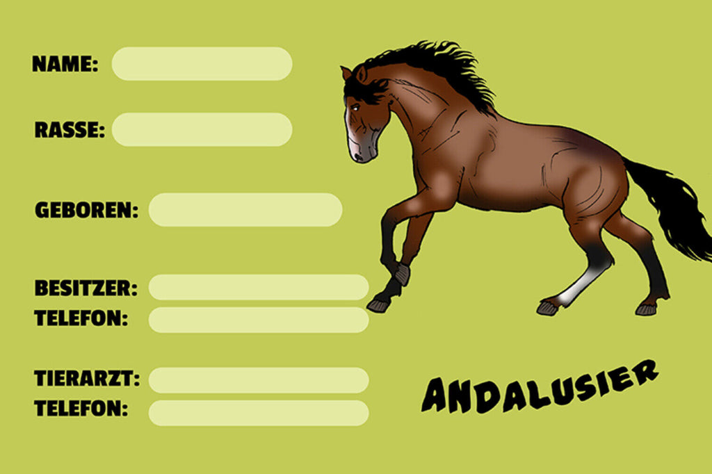 Schild Spruch Andalusier Pferd Steckbrief JW