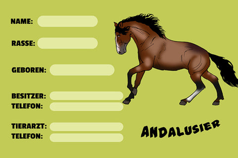 Schild Spruch Andalusier Pferd Steckbrief JW