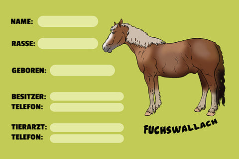 Schild Spruch Fuchswallach Pferd Steckbrief JW