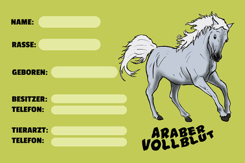 Schild Spruch Araber Vollblut Pferd Steckbrief  JW
