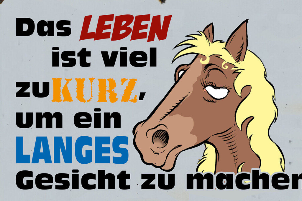 Schild Spruch Leben ist zu kurz um langes Gesicht zu machen Pferd JW