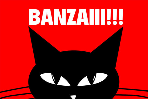 Schild Spruch Banzaiii! Katze Comic Warnung Gefahr JW