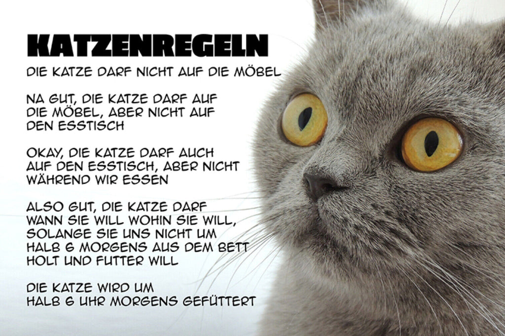 Schild Spruch Katzenregeln Die Katze darf nicht auf die Mögel Na gut Katze JW