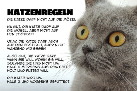Schild Spruch Katzenregeln Die Katze darf nicht auf die Mögel Na gut Katze JW