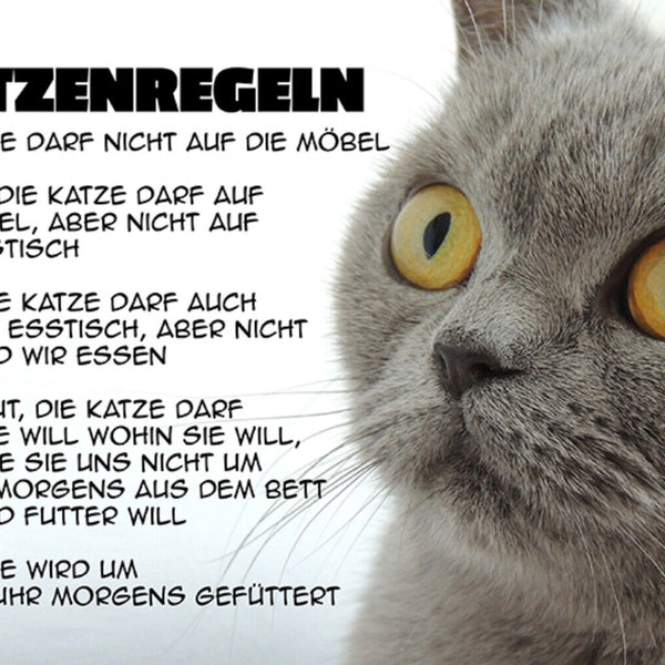 Schild Spruch Katzenregeln Die Katze darf nicht auf die Mögel Na gut Katze JW