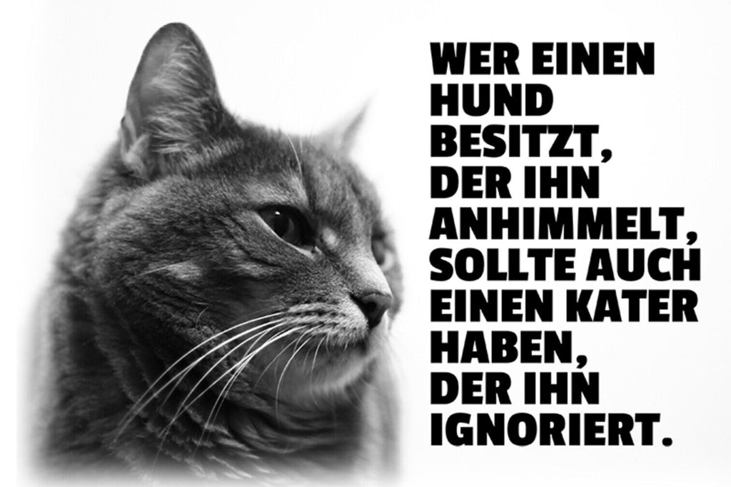 Schild Spruch Wer einen Hund besitzt der ihn anhimmelt sollte auch Kater JW