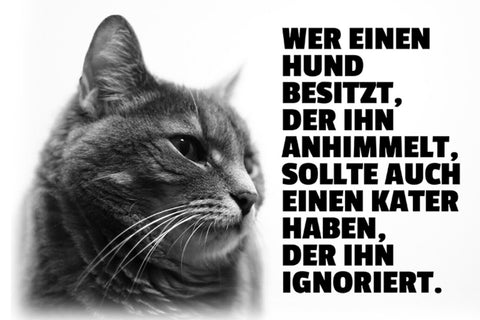 Schild Spruch Wer einen Hund besitzt der ihn anhimmelt sollte auch Kater JW