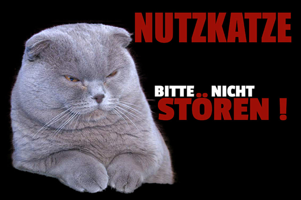 Schild Spruch Nutzkatze Bitte nicht stören Perserkatze JW