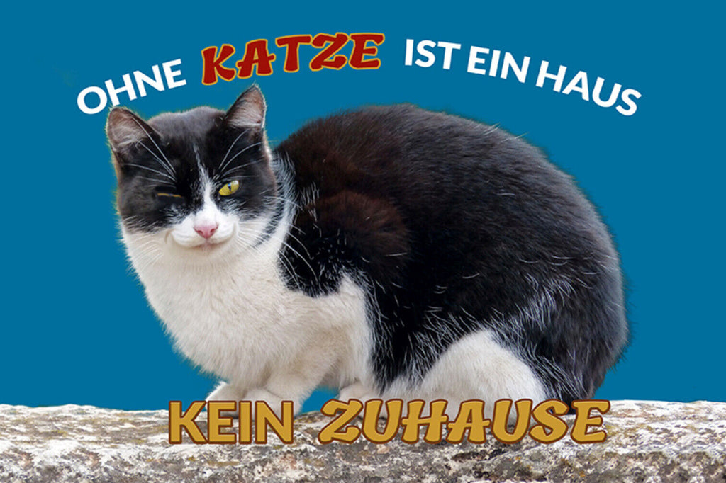 Schild Spruch Ohne Katze ist ein Haus kein Zuhause JW