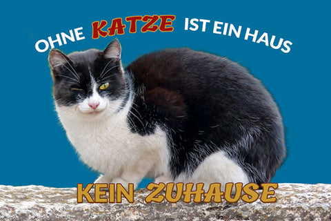 Schild Spruch Ohne Katze ist ein Haus kein Zuhause JW