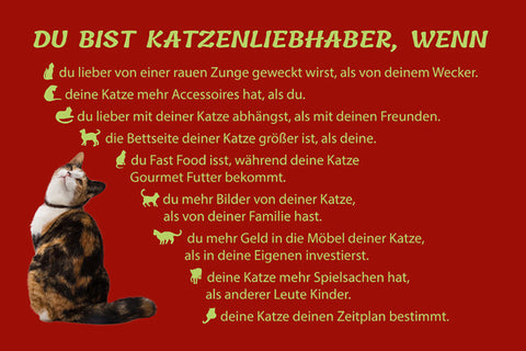 Schild Spruch Du bist Katzenliebhaber wenn du lieber von einer rauen Zunge JW