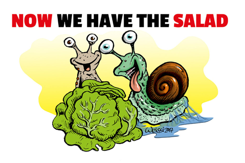 Schild Spruch Now we have the salad Jetzt haben wir den Salat Bad English JW