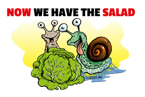 Schild Spruch Now we have the salad Jetzt haben wir den Salat Bad English JW