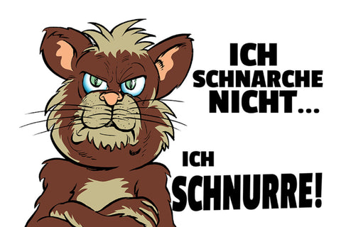 Schild Spruch Ich schnarche nicht Ich schnurre Katze JW