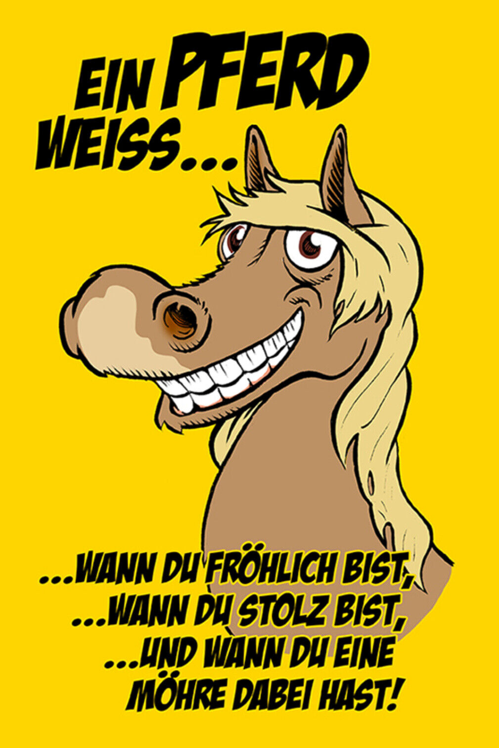 Schild Spruch Ein Pferd weiß wann du fröhlich bist Eine Möhre dabei hast JW
