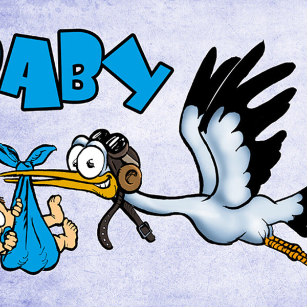 Schild Spruch Baby Junge Blau Storch JW