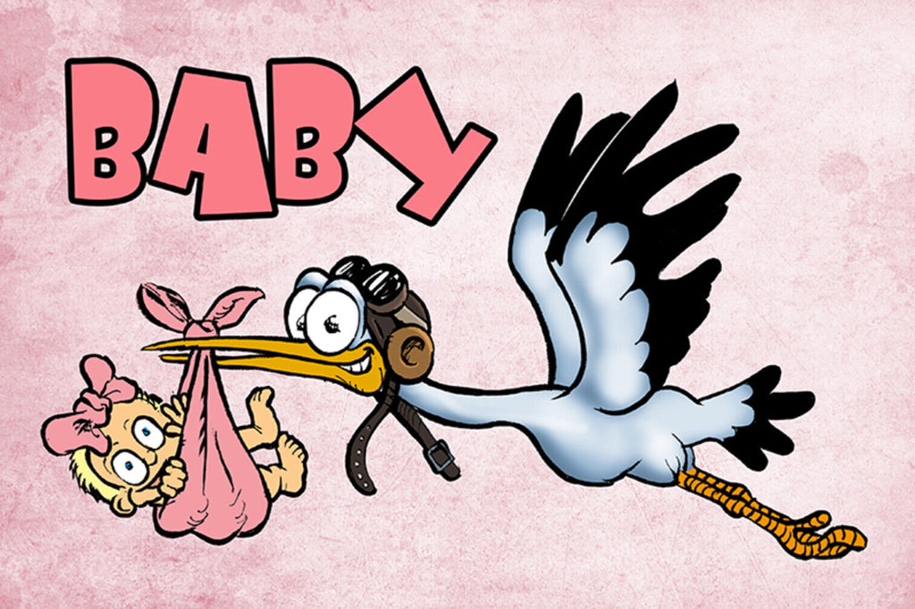 Schild Spruch Baby Rosa Mädchen Storch JW
