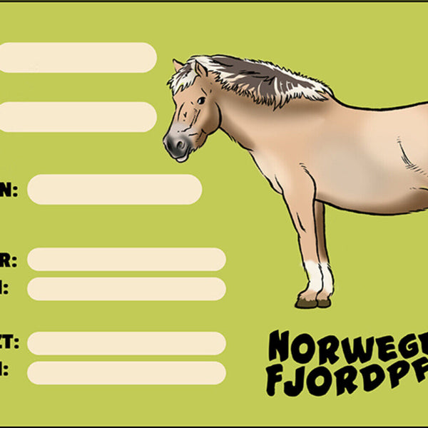 Schild Spruch Norweger Fjordpferd Steckbrief JW