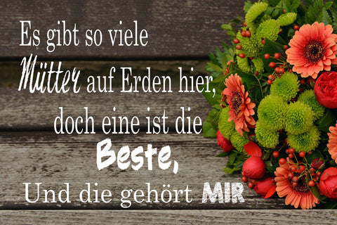 Schild Spruch Viele Mütter auf Erden mit gehört beste Mama Mutti JW