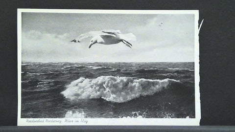 Nordseebad Norderney Möwe im Flug Meer JW 400995 F