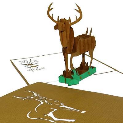 3D Pop Up Karte "Waidmannsheil" Einladung Glückwünsche, Format 15x15 50038