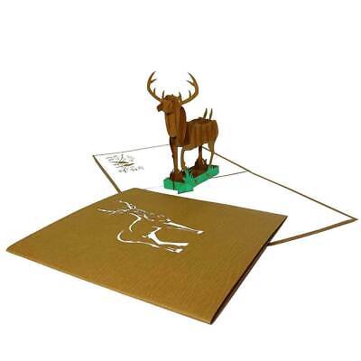 3D Pop Up Karte "Waidmannsheil" Einladung Glückwünsche, Format 15x15 50038