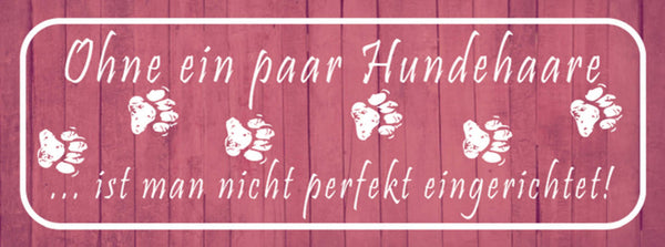 Schild Ohne Ein Paar Hunde Haare Ist Man Nicht Perfekt Eingerichtet 27 x 10