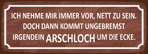 Schild Ich Nehme Mir Immer Vor Nett Zu Sein Ungebremst Irgendein Arschloch Ecke