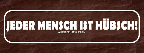 Schild Jeder Mensch Ist Hübsch Außer Die Hässlichen Schön 27 x 10 Blech od. Holz