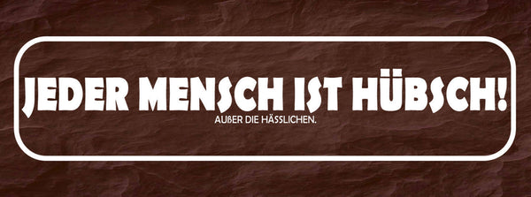Schild Jeder Mensch Ist Hübsch Außer Die Hässlichen Schön 27 x 10 Blech od. Holz