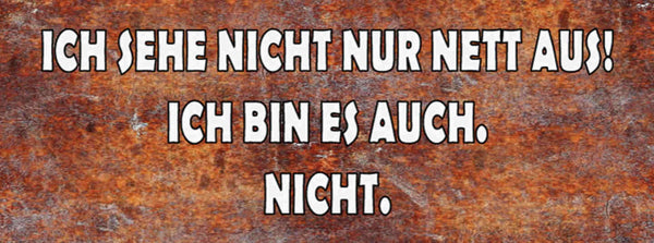Schild Ich Sehe Nicht Nur Nett Aus Ich Bin Es Auch Nicht 27 x 10 Blech od. Holz
