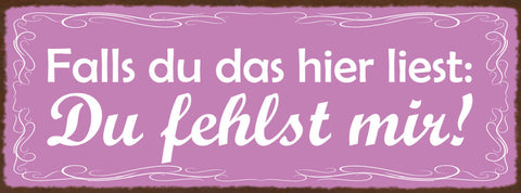Schild Falls Du Das Hier Liest Du Fehlst Mir Vermissen Liebe 27x10 Blech od.Holz