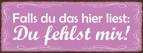 Schild Falls Du Das Hier Liest Du Fehlst Mir Vermissen Liebe 27x10 Blech od.Holz