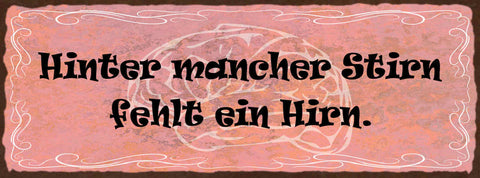 Schild Hinter Mancher Stirn Fehlt Ein Hirn Gehirn Dumm 27x10 Blech od.Holz
