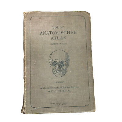 5900 Carl Dr. Toldt ANATOMISCHER ATLAS FÜR STUDIERENDE UND ÄRZTE HC +Abb