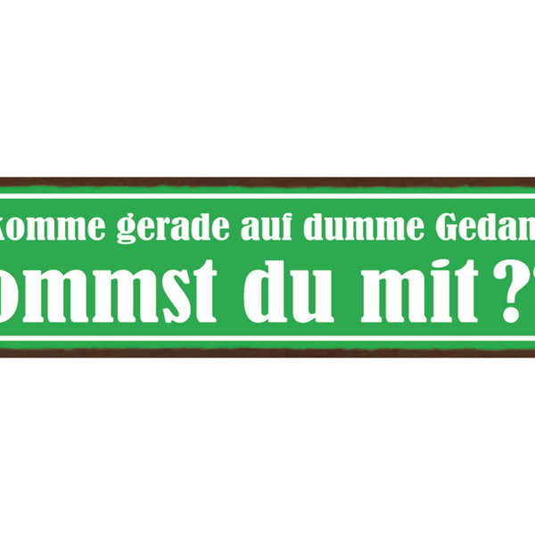 Schild Ich Komme Gerade Auf Dumme Gedanken Kommst Du Mit 46 x 10 Blech od. Holz