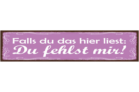 Schild Falls Du Das Hier Liest Du Fehlst Mir Liebe Vermissen 46x10 Blech od.Holz