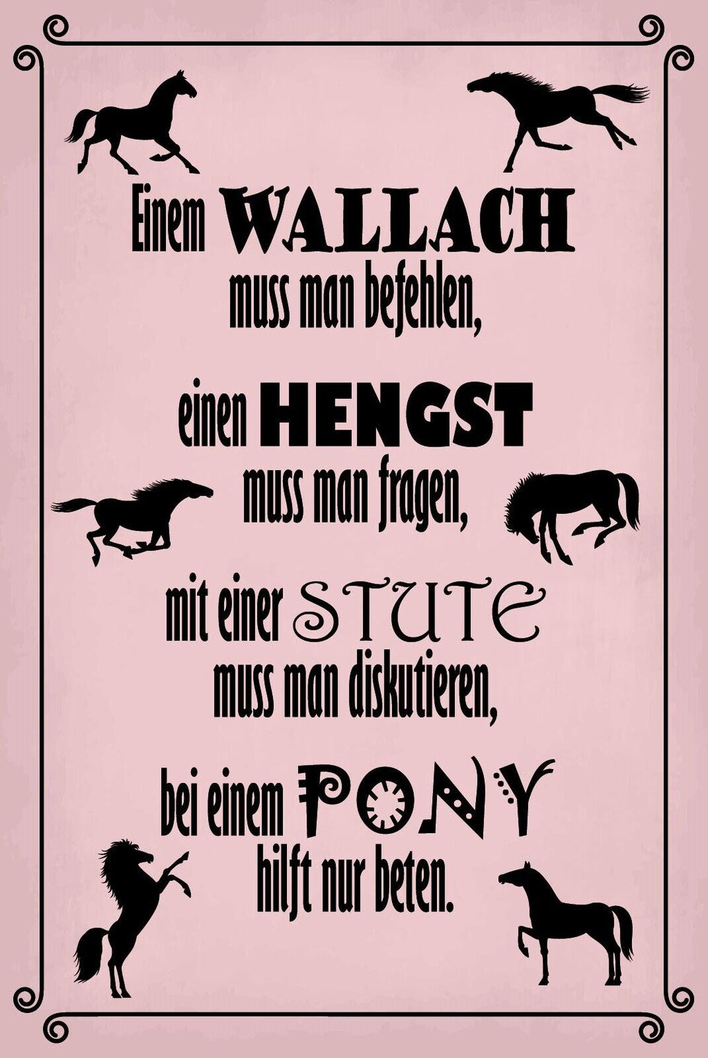 Schild Pferd Wallach Hengst Stute Pony 12x18 / 20x30 / 30x40 Blech od. Holz