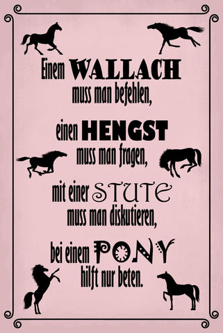 Schild Pferd Wallach Hengst Stute Pony 12x18 / 20x30 / 30x40 Blech od. Holz