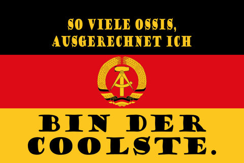 Schild Ossi Coolste DDR Ostdeutschland Osten 12x18 / 20x30 / 30x40 Blech od.Holz